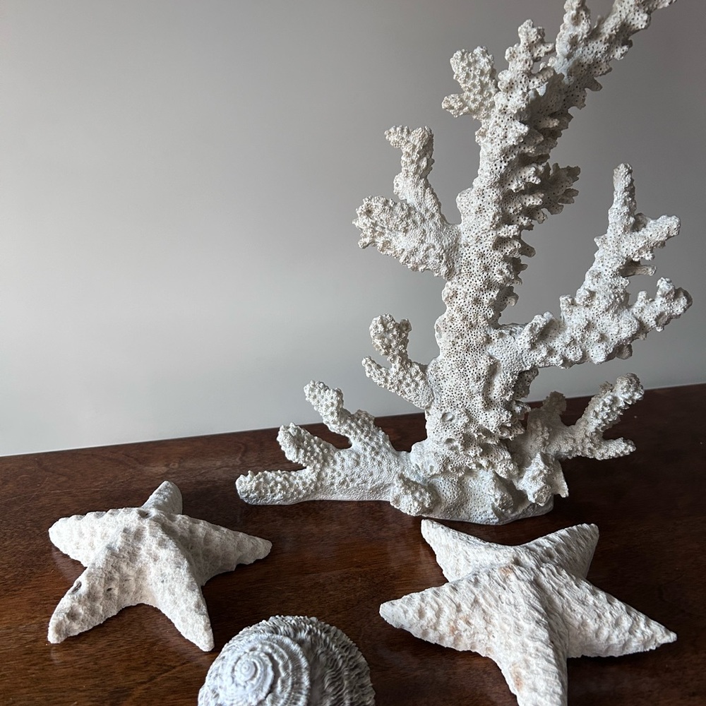 White Coral & Starfish Coastal Decor Set - Bathroom - Office - Home 🐚 ⭐️